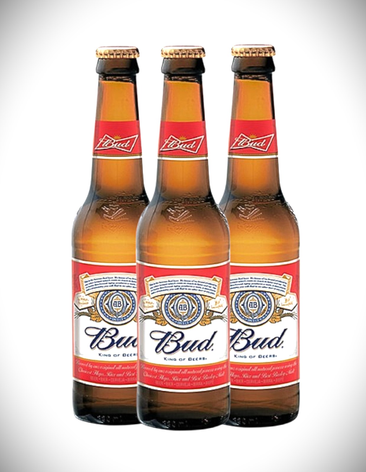 BIRRA BUDWEISER cl.33×24