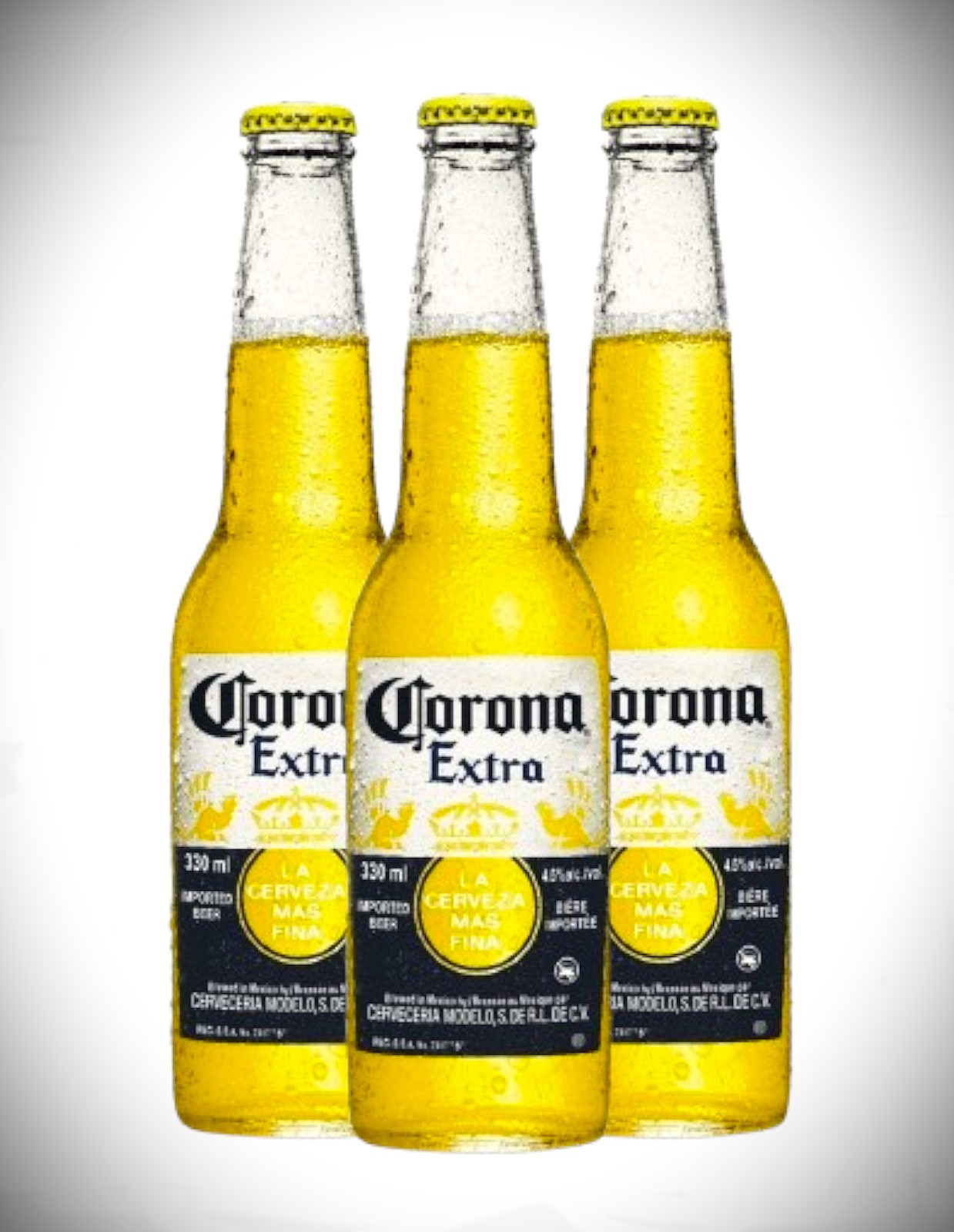 BIRRA CORONA EXTRA cl.33×24