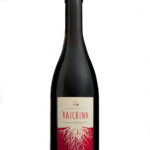 VINO RAICHINA ROSSO cl.75