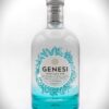 GIN GENESI RAU cl. 70