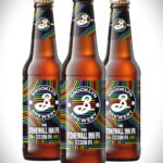 BIRRA BROOKLYN STONEWALL INN IPA cl.33×24